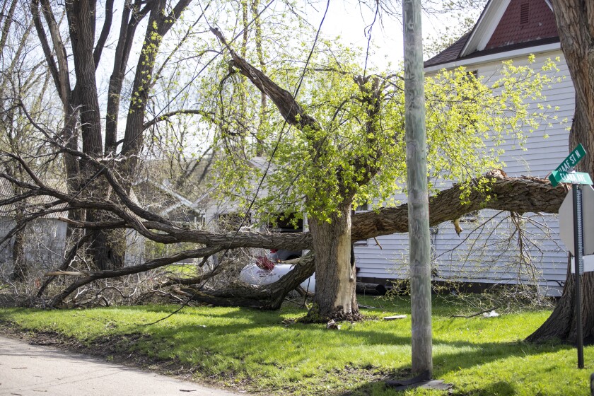 Storm damage 006.jpg