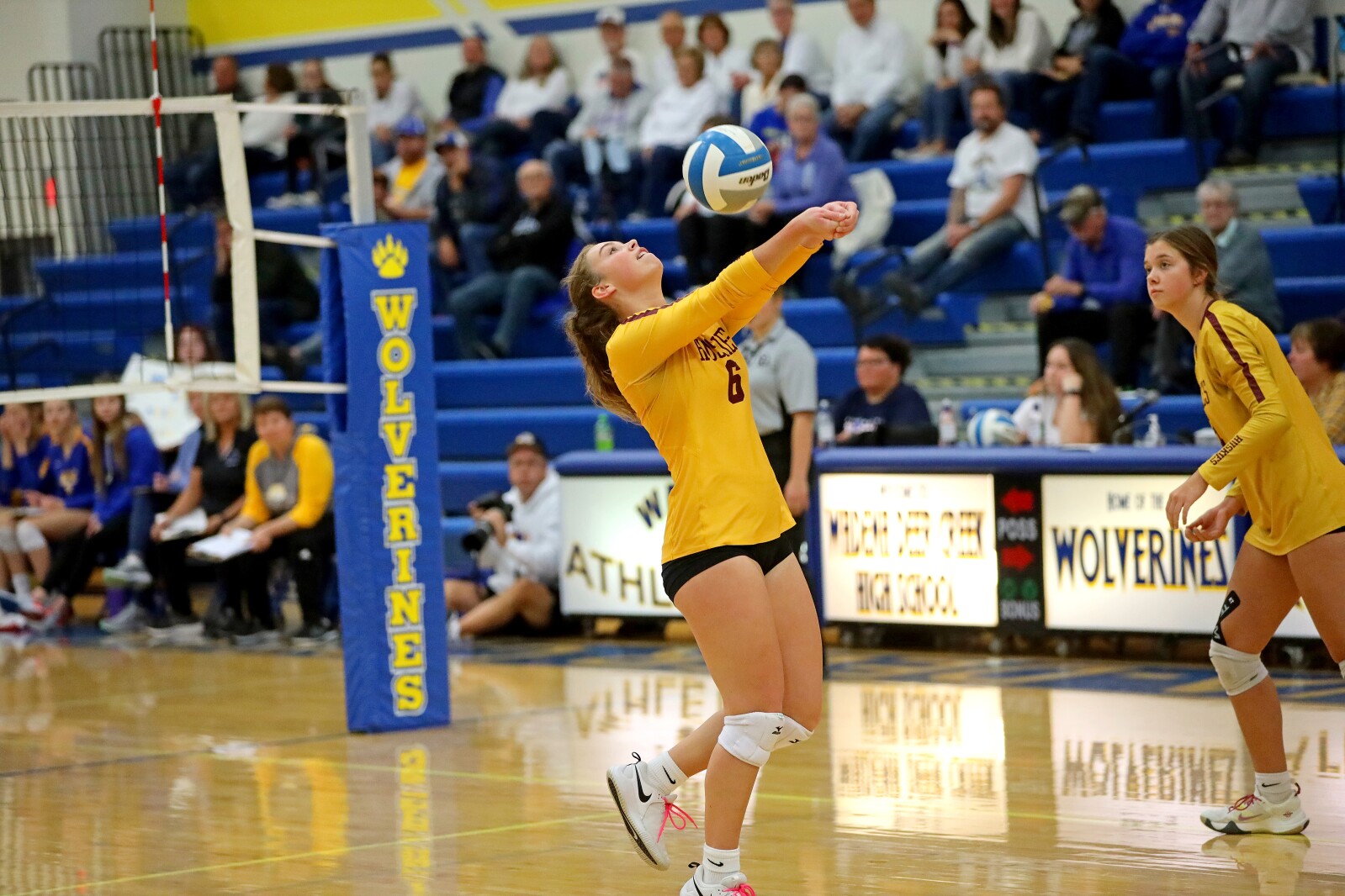 Wadena-Deer Creek vs Pillager volleyball on Thursday, Oct. 27, 2022, in Wadena.