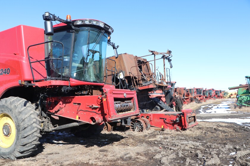 A lineup of late-model Case-IH combines stand in a row, waiting for parts recycling. The two in the foreground at left were damaged by fire.