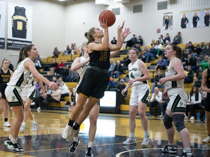 NLS vs. Paynesville 012323.003.jpg