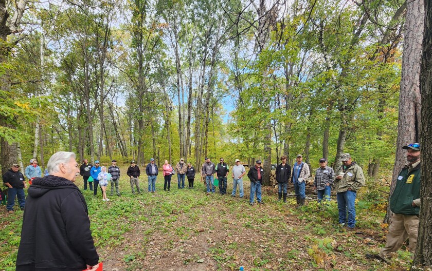 People stand in half circle in the woods during a presentation.