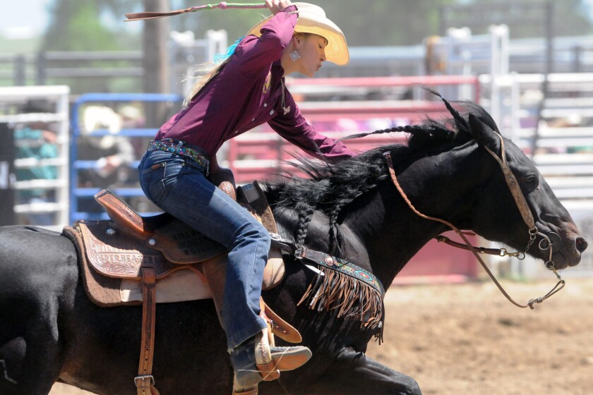 Bull-team, barrel-racing rodeo event jumping off Saturday - The ...