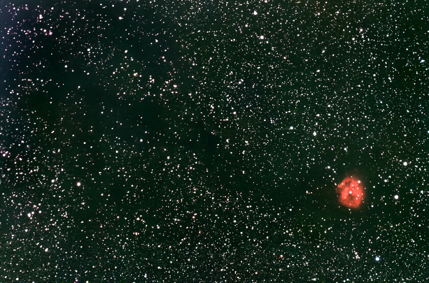 Cocoon Nebula and Barnard 168