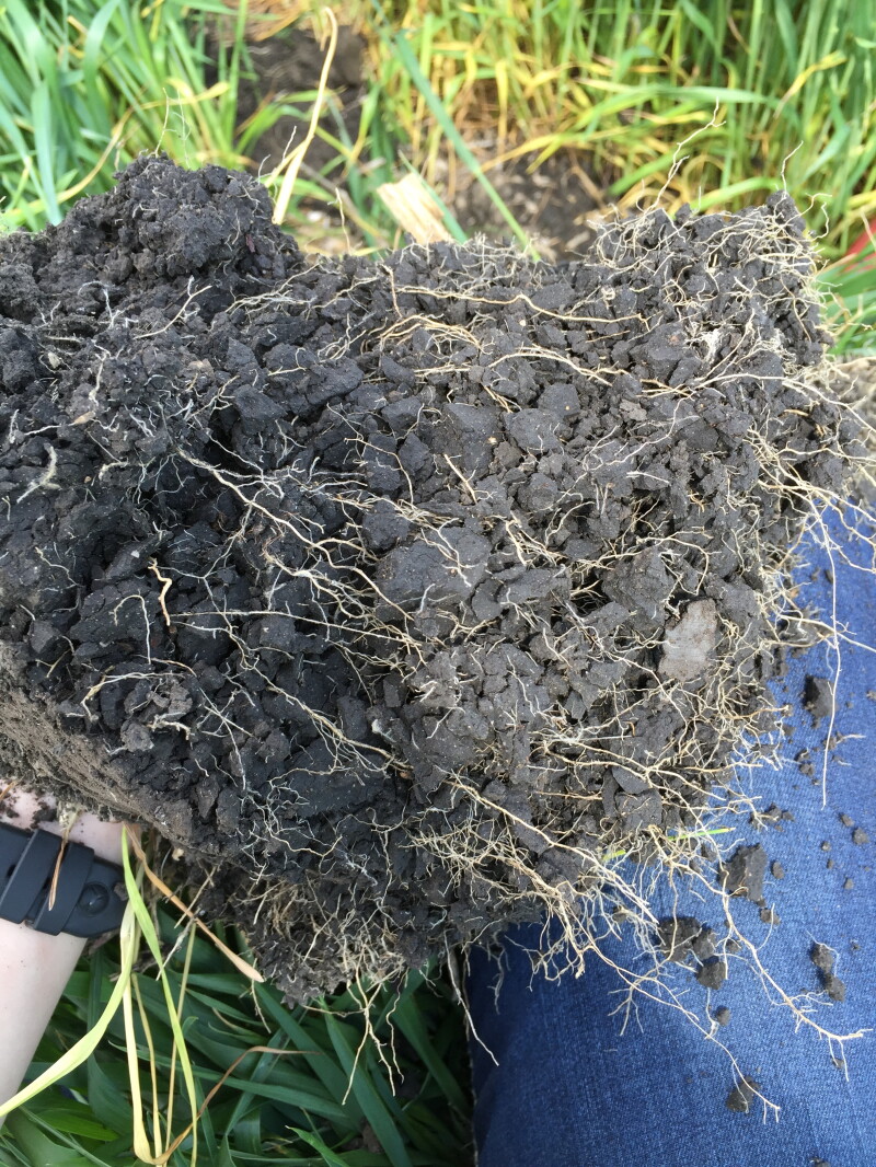 Can conservation practices decrease costs on your operation?