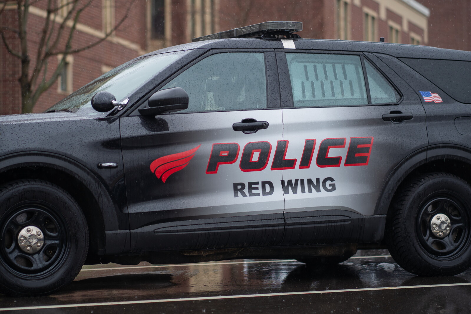 Red Wing woman accused of burglarizing antiques