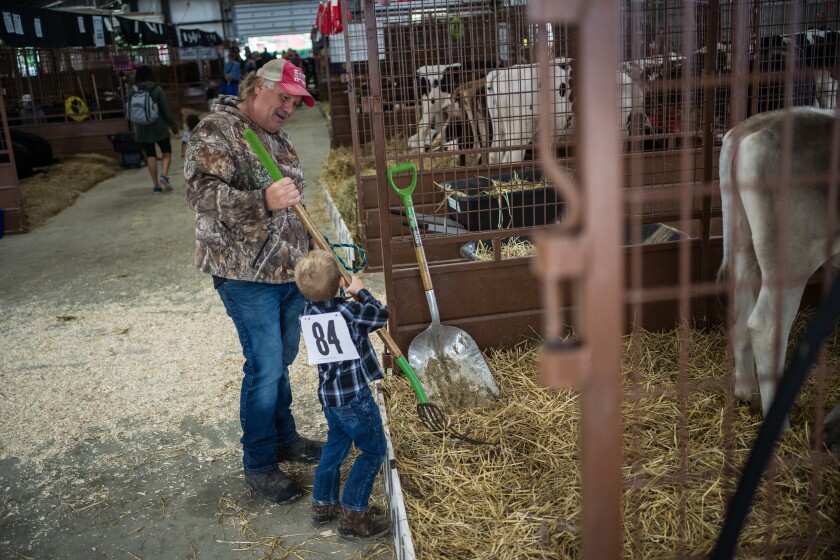 Mower County Fair