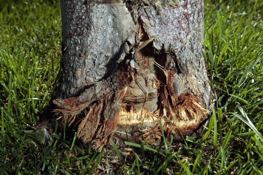 080120.F.FF.GrowingTogether.03.jpg