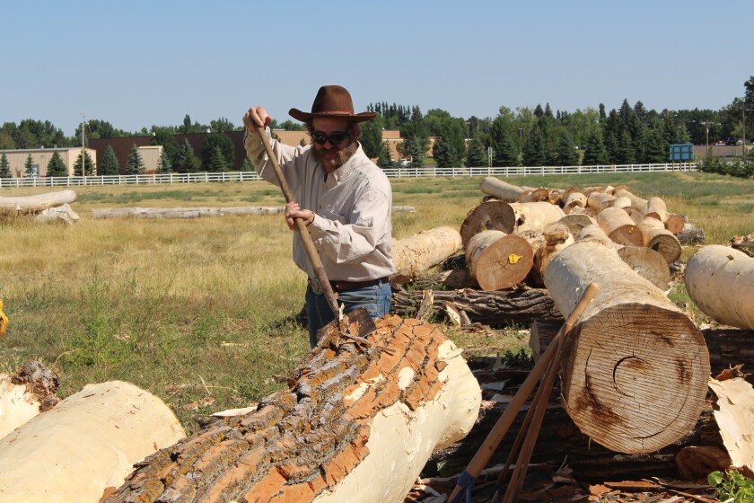 Richard Bickel debarks a log to be used in the replica of the Elkhorn Ranch Cabin on Wednesday morning. (Sydney Mook / The Dickinson Press)