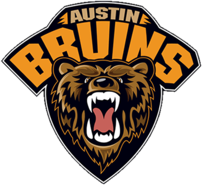 Bruins logo.jpg