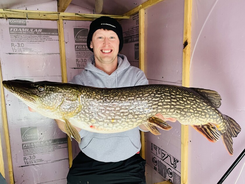 BEARDSLEY-eelpout