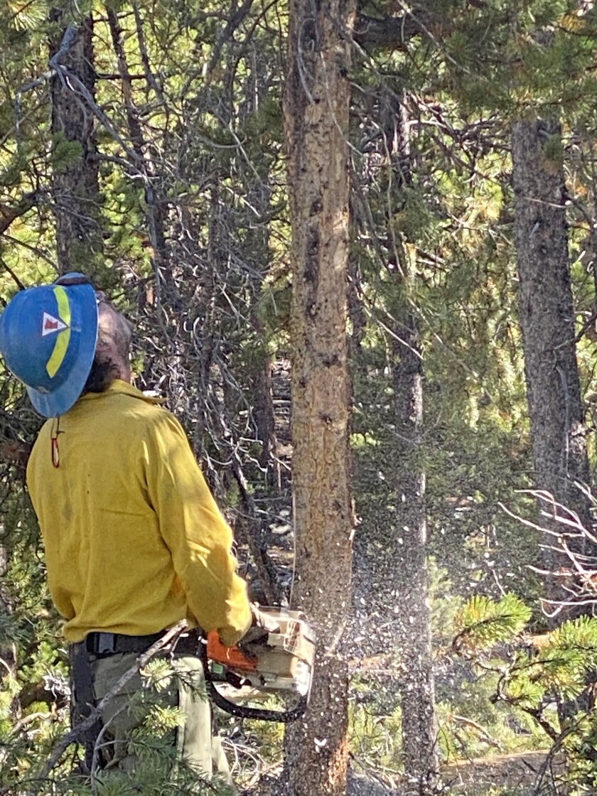 070222.N.PRE.JoeKuhlmannCuttingFireline2455.jpg