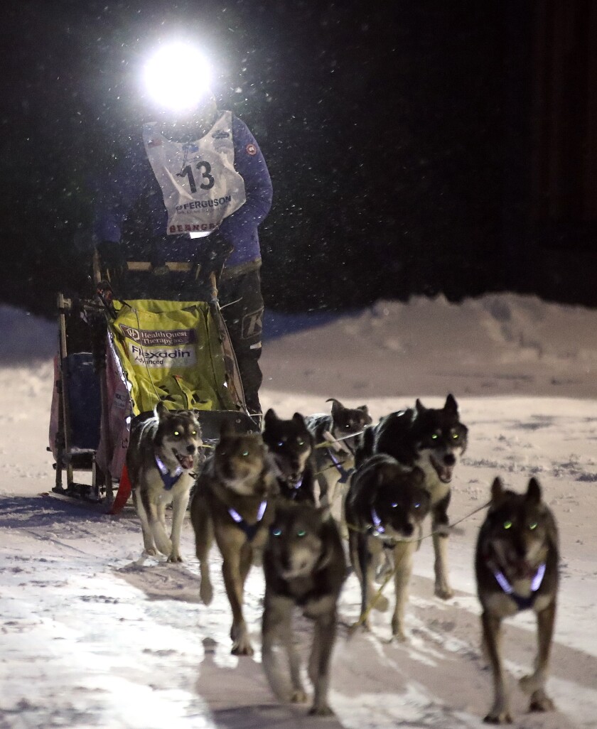 At the Beargrease finish line.