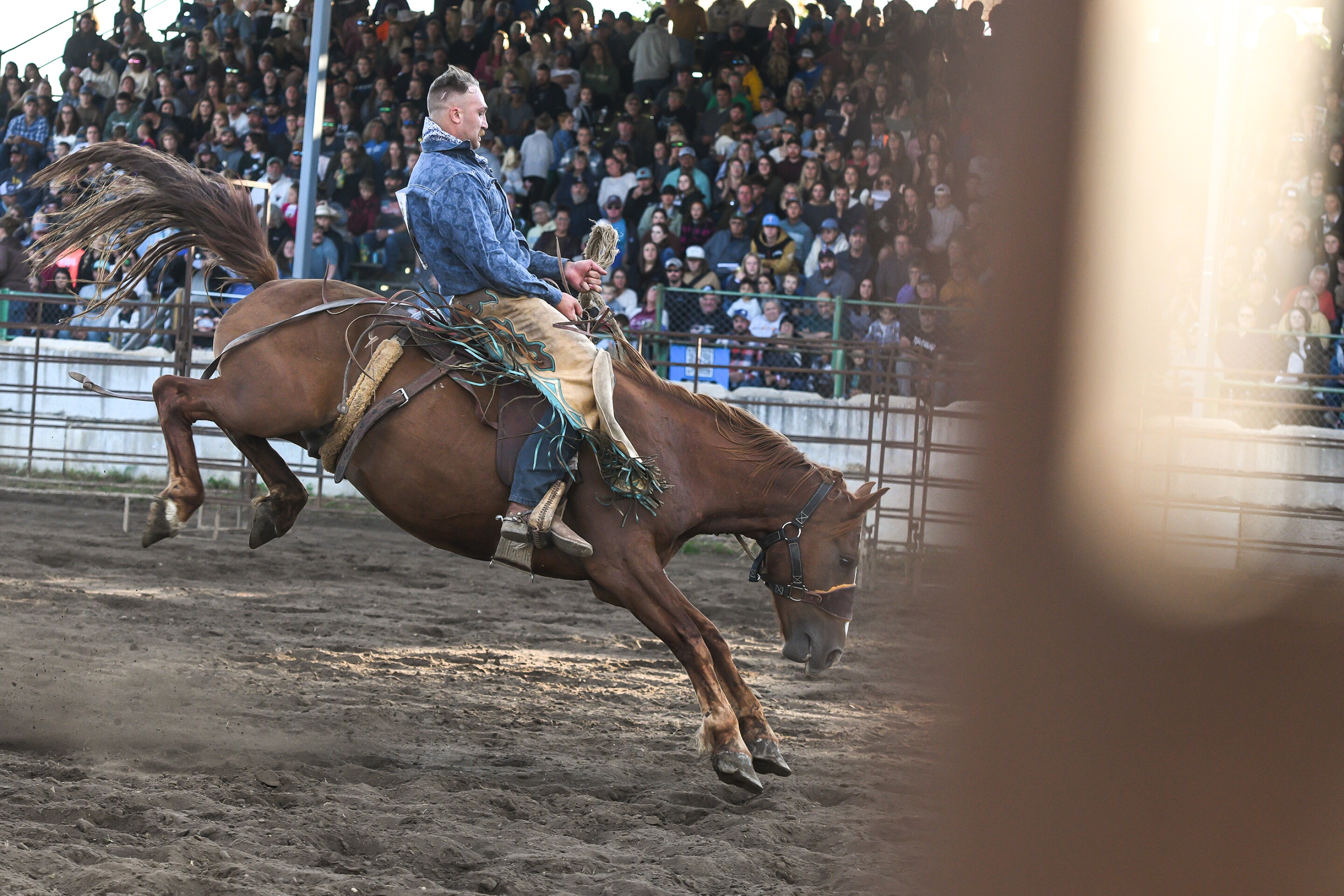 Wojo’s Rodeo brings broncs and barrels to Beltrami County Fair - The ...