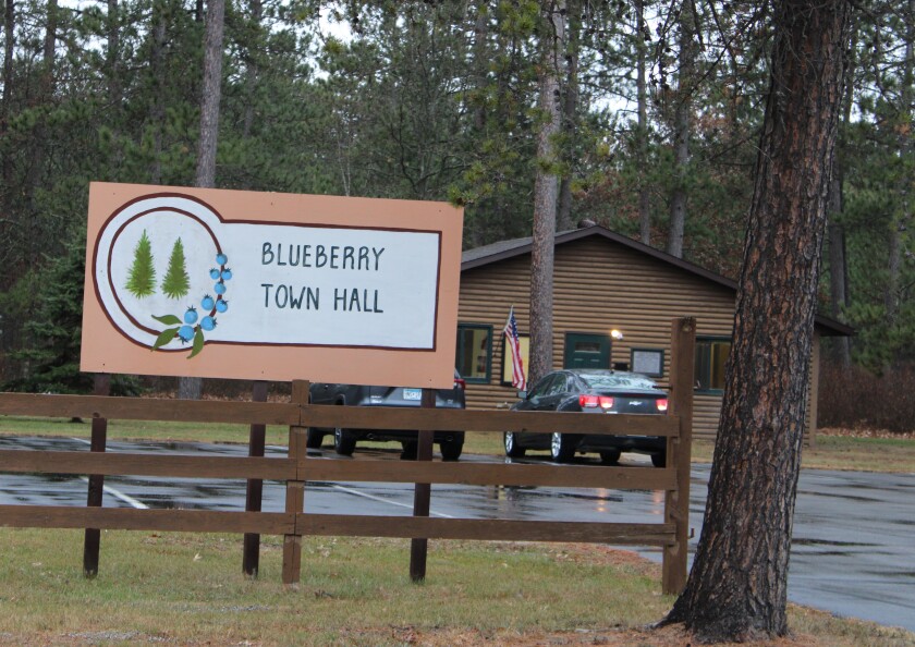 BlueberryTownHall2022.jpg