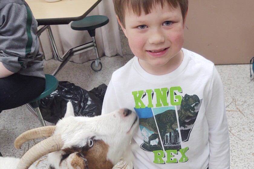 Nevis FFA program is in jeopardy for 2023-24 - Park Rapids