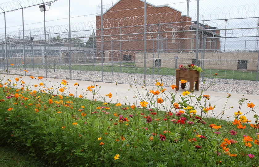 Colorful annual flowering plants line a walkway inside the fences of the James River Correctional Center in 2018. Some inmates help with gardening tasks at JRCC. John M. Steiner / The Sun