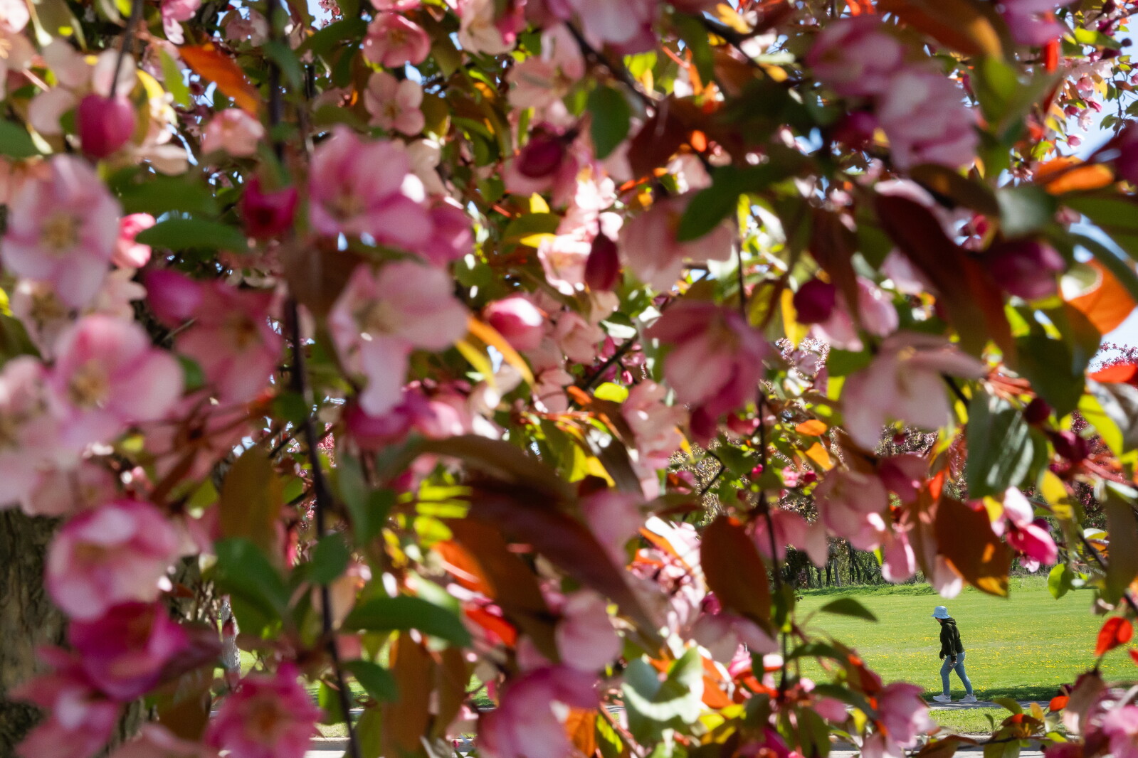 Photos: Slice of Life May 2026