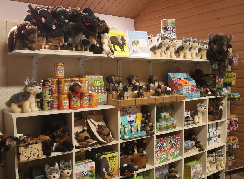 National Buffalo Museum Stuffed Animals 020822.jpg