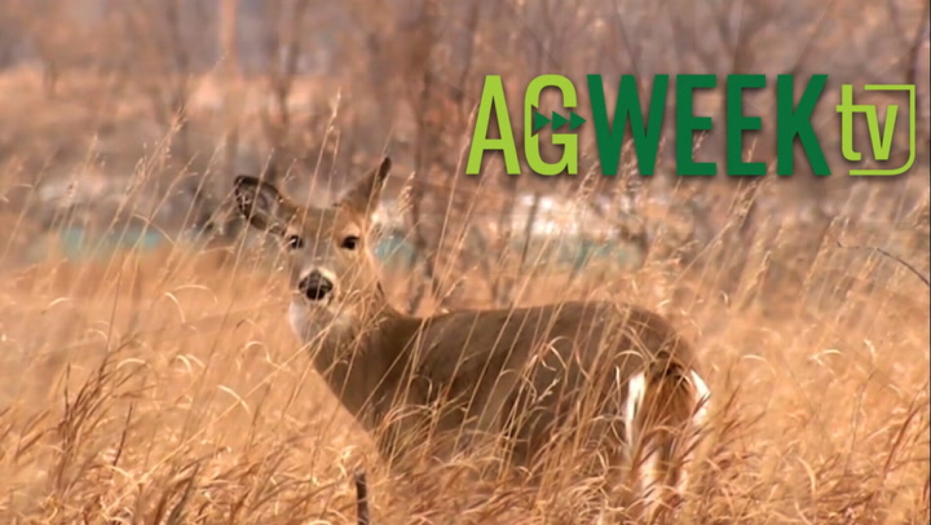 AgweekTV Full Show: Interest rates, MN deer farms, organic economics, cut flowers in SD