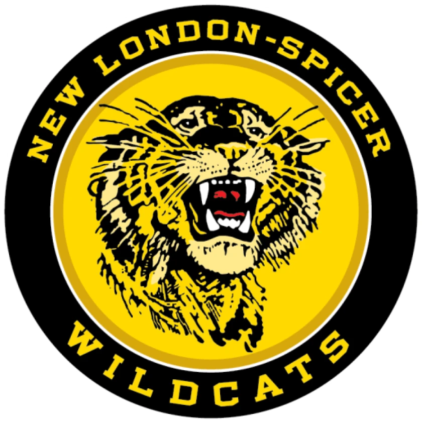 NLS Schools LOGO.png