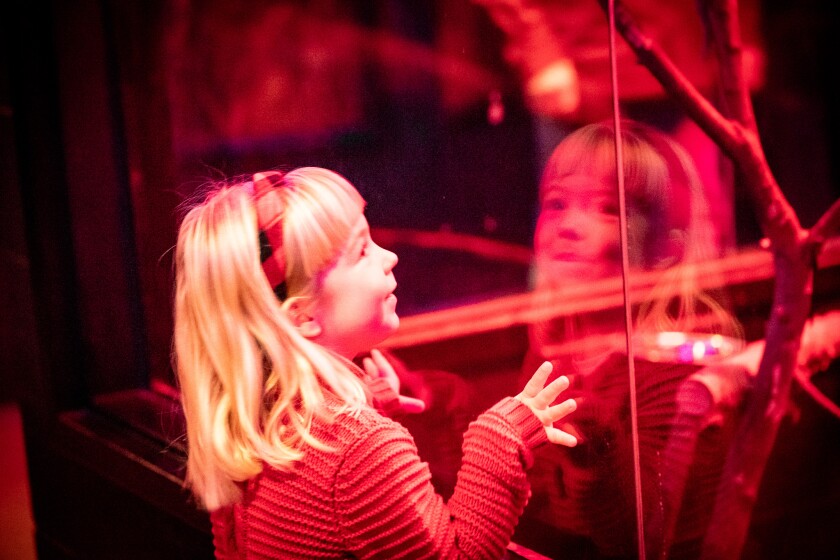 Light-skinned child with long blonde hair smiles as she looks into a glass-walled animal enclosure under red light.
