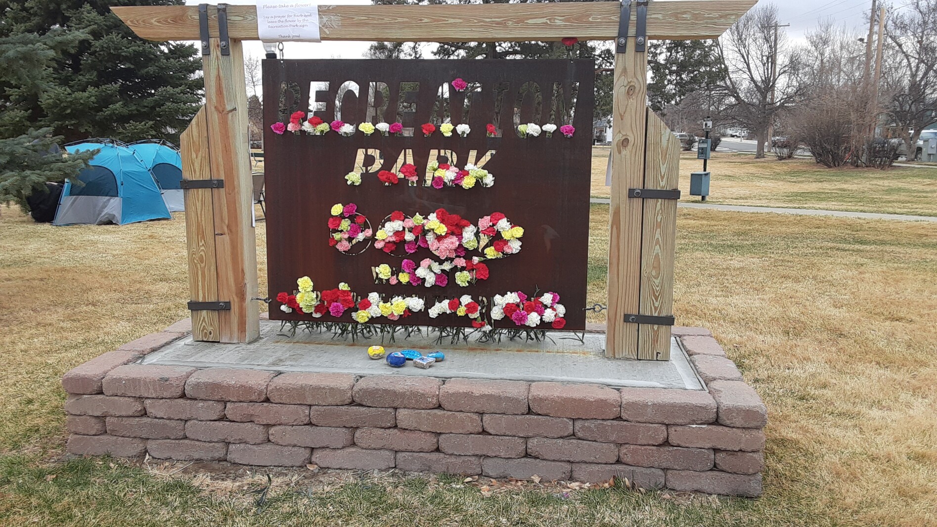 barbara-cotton-flowers-in-williston-recreation-park.jpg