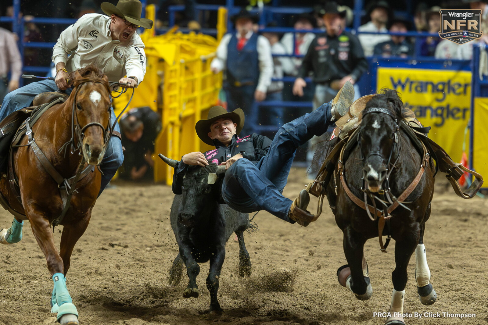 Mvta Rodeo Pro rodeo: Struxness ready for NFR shine - West Central Tribune | News ...