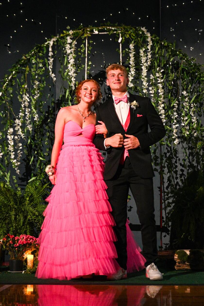 Prom Forum Photos: Detroit Lakes High School prom enchants with 'Fairy Lights and ...