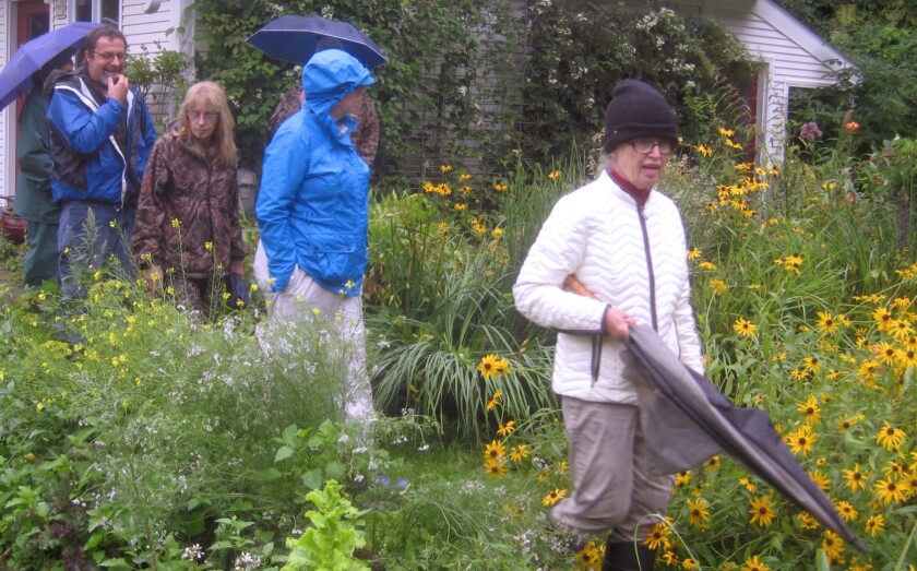 Samuelson column: Pollinator award honorees educate with compassion ...