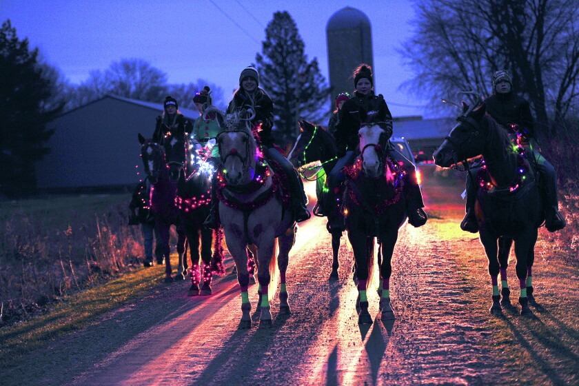 Harding Mn Harding's Horse'n Around Christmas Parade - Brainerd Dispatch | News ...