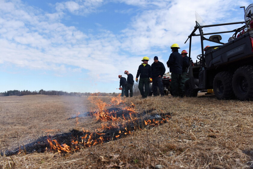 Camp Ripley begins prescribed burns to reduce risk of wildfire ...