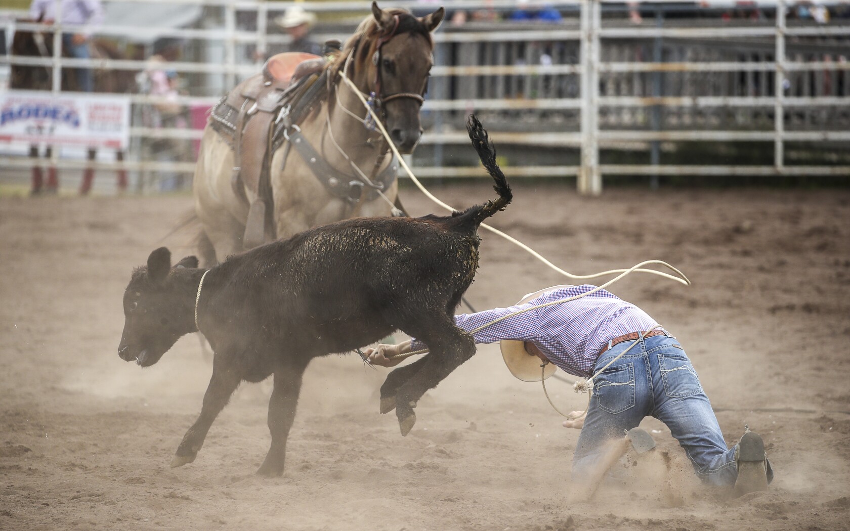 Photos: Great Northern Classic Rodeo in Superior - Superior Telegram ...