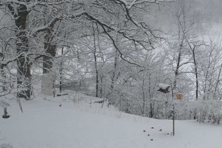 New London snow