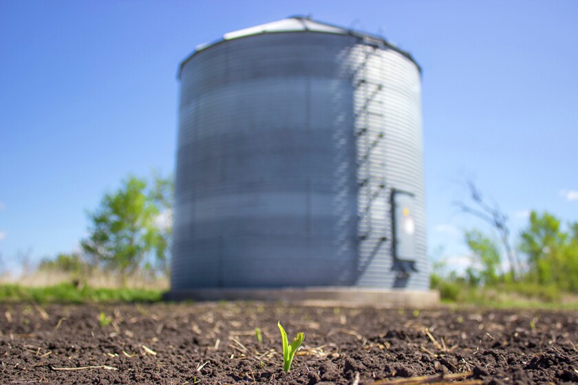 2551196+051616 AG entGrainBin.jpg