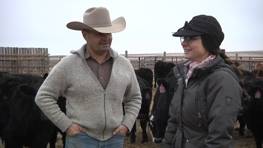 DX Ranch.Still005.jpg
