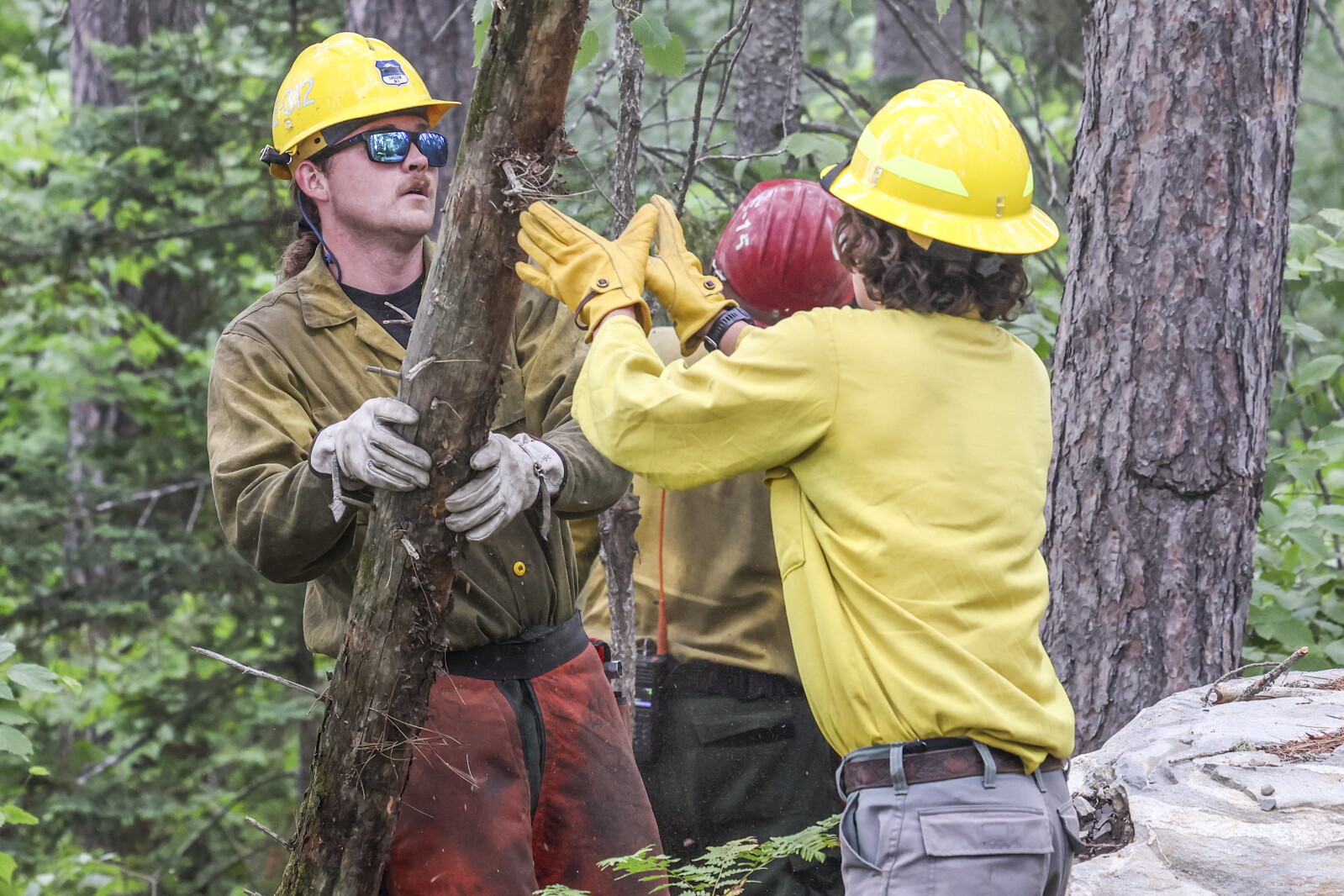 On the Echo Trail, crews work to save structures, cut breaks in forest