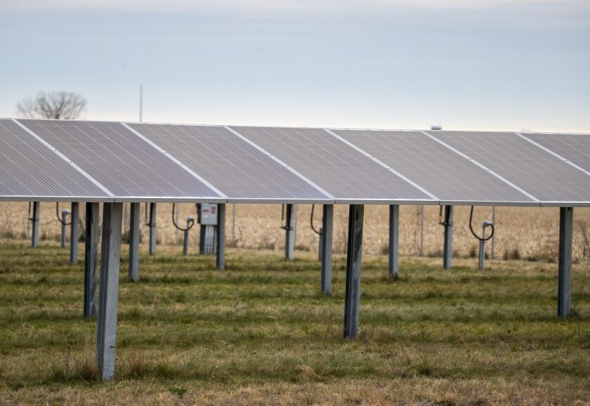 Solar Farm 110422 002.jpg