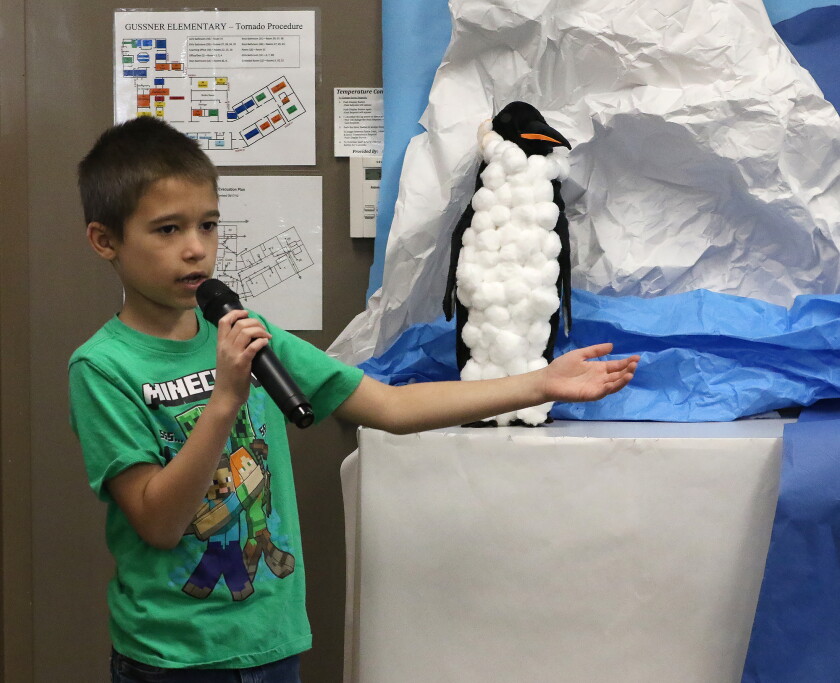 Year-End Projects - Jamestown Sun 10 David Mainers educated the crowd about emperor penguins.