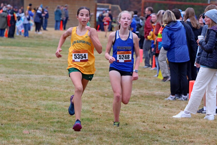 Cross-Country: Familiar faces return to Class 3A meet and some new ones ...