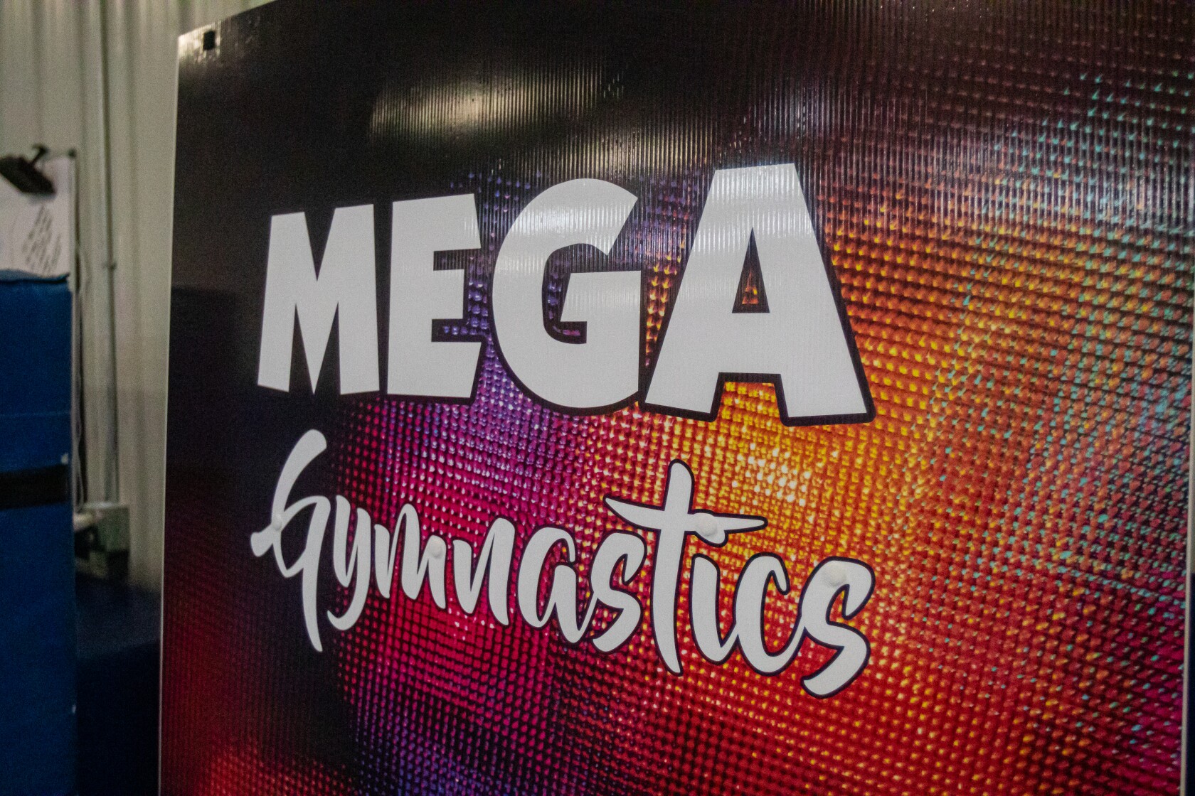 Three MEGA Gymnastics club gymnasts advancing to region championships