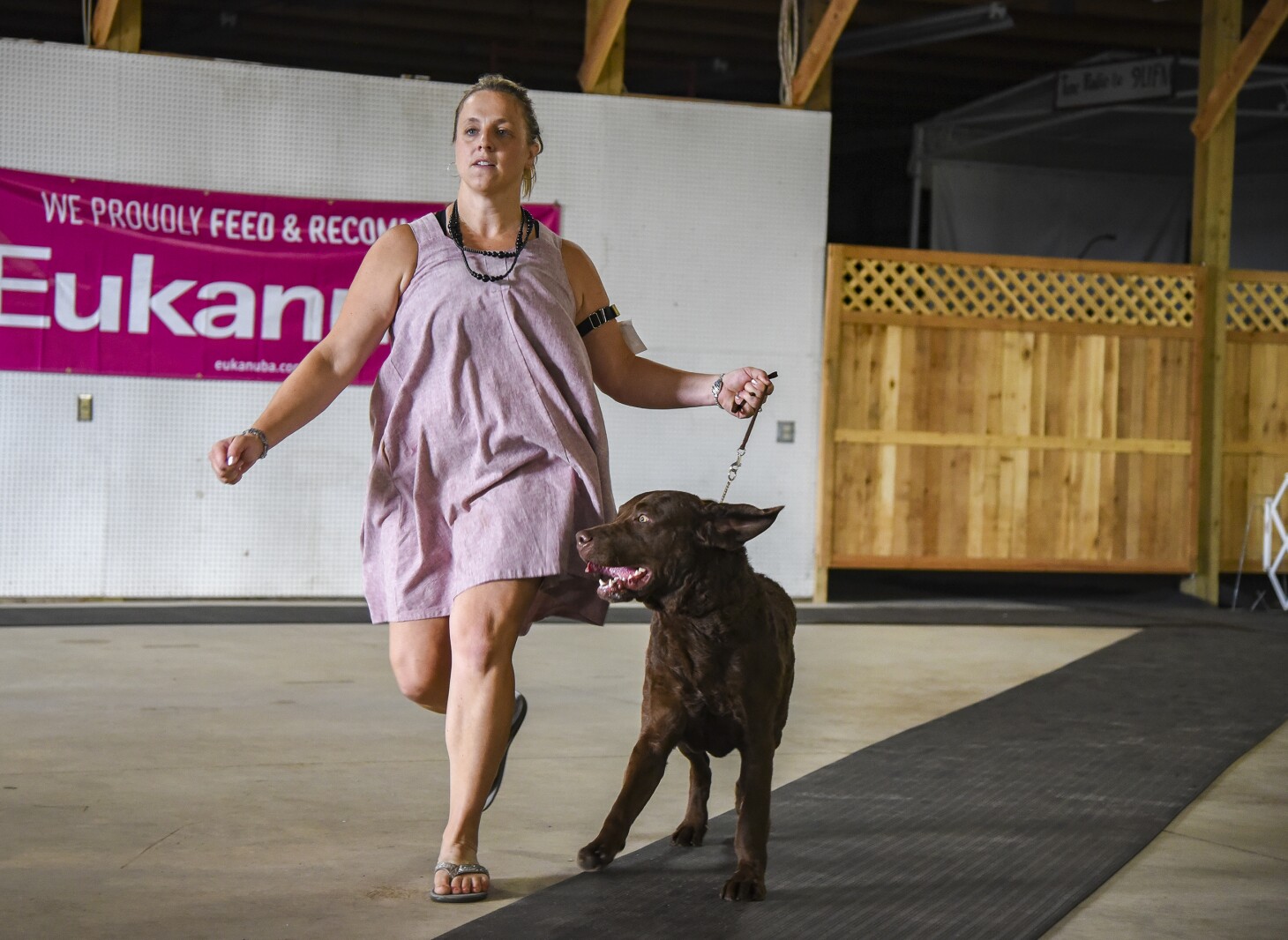 Paul Bunyan Dog Training Association to hold 14th annual dog show Sept. 5-7 Paul Bunyan Dog Training Association to hold 14th annual dog show Sept. 5-7