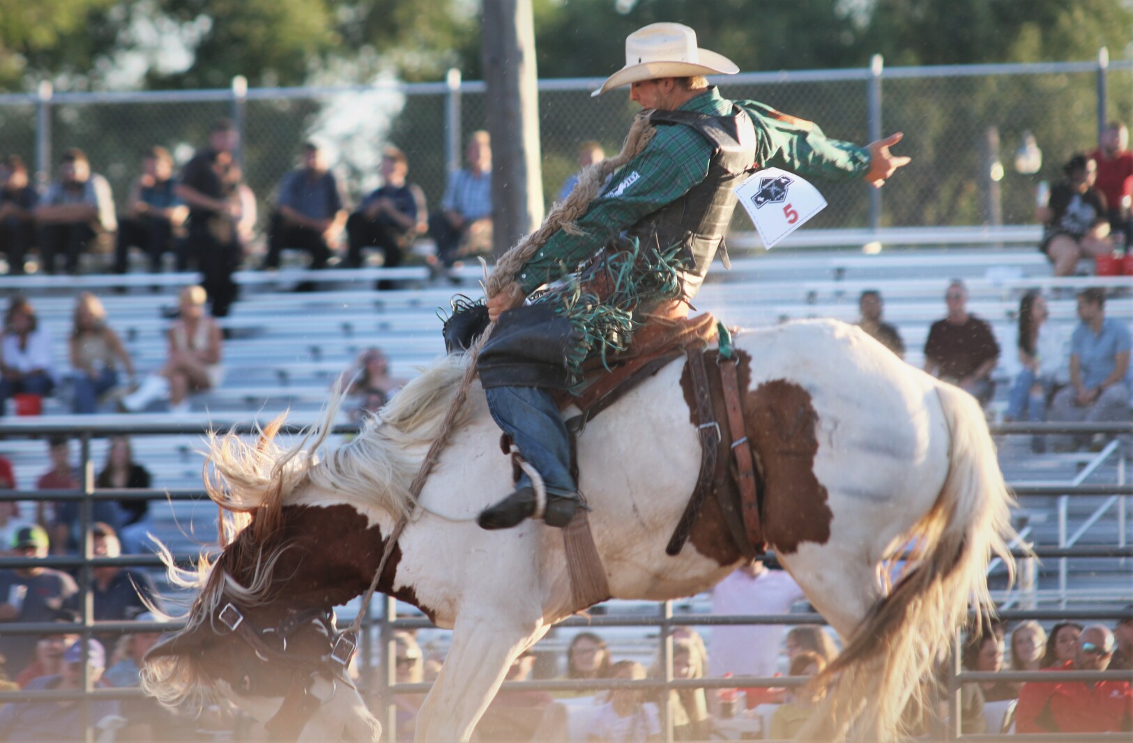 PHOTOS: Day one action of Shootout at the Lake rodeo - Mitchell ...