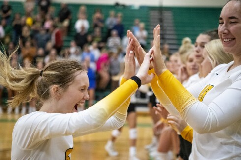 Litchfield v NLS VB 004.jpg