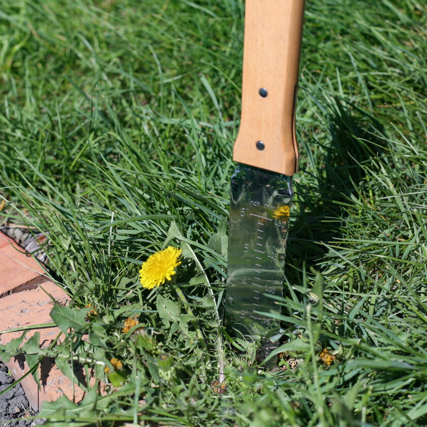 Biancheria da letto Élaine verde Biancheria da letto Élaine verde