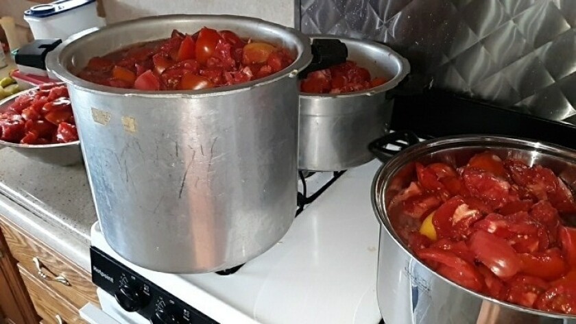 Cooking tomatoes.jpeg