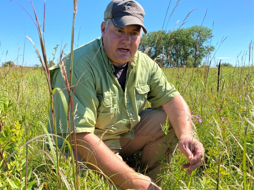 Rob Baden prairie.jpg