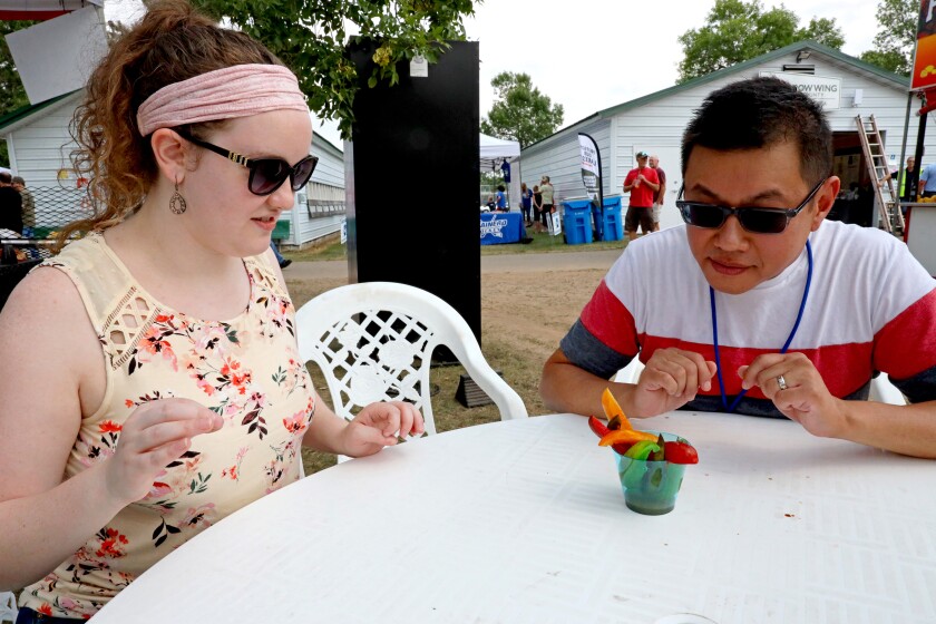 080621.N.BD.FairFood16.jpg