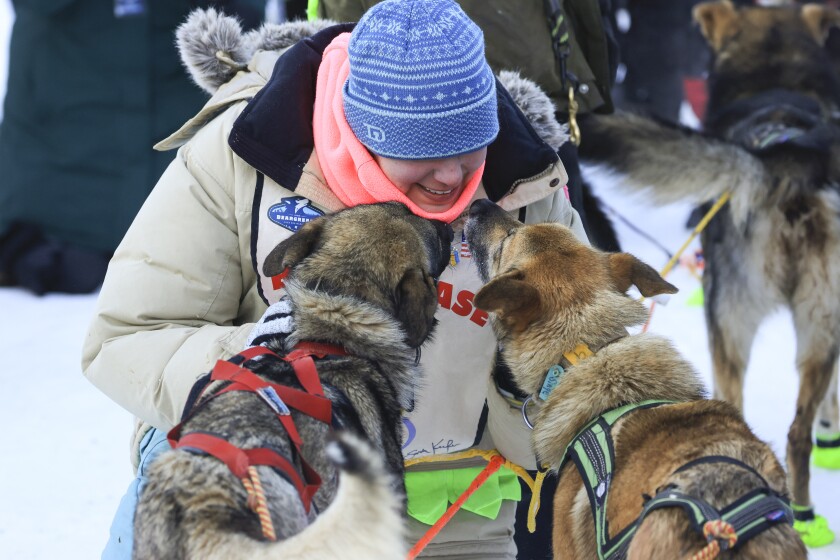 mushers cross finish line with dog teams