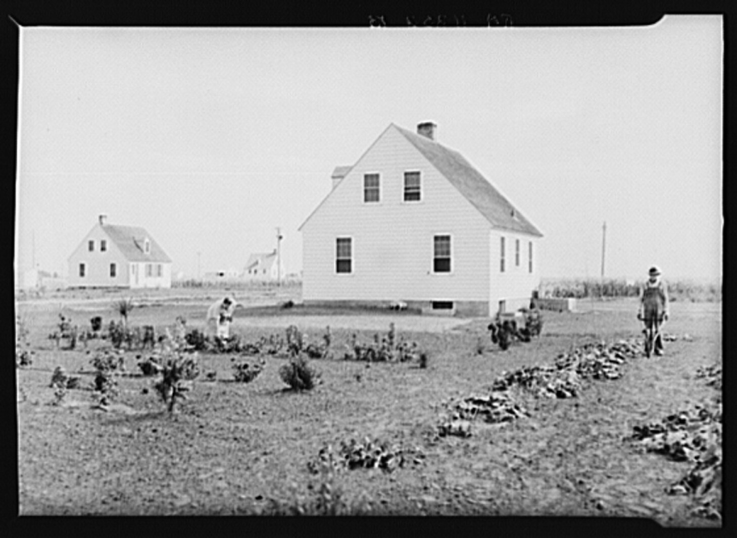 Agriculture's contribution to the U.S. economy then and now