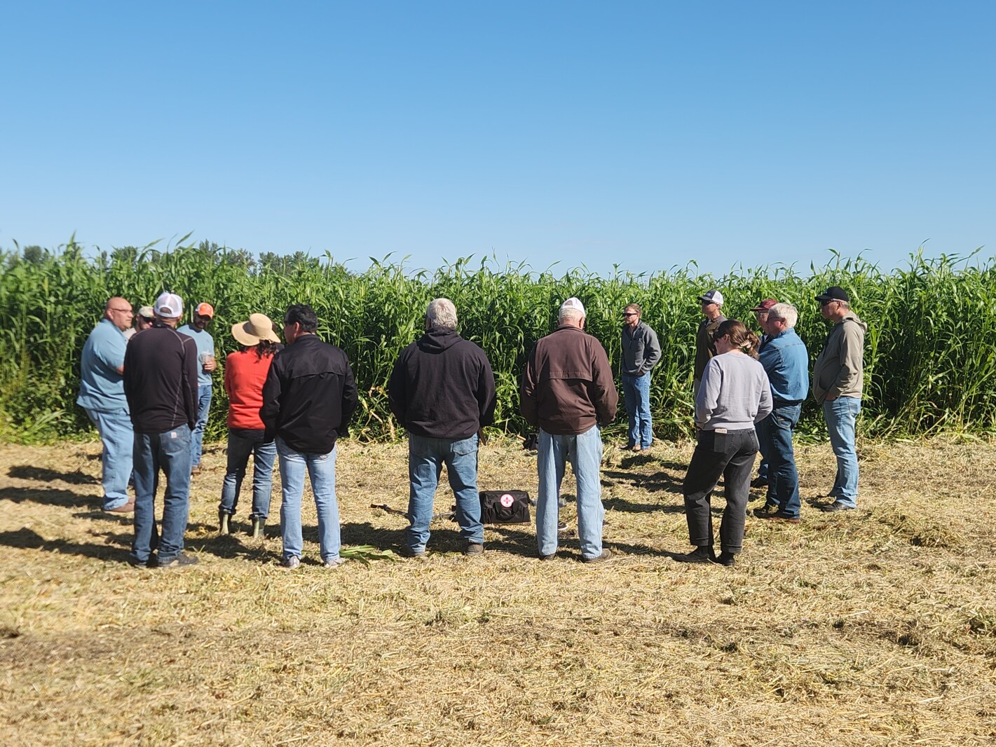 Northwest Minnesota business aims to use sweet sorghum and electrochemistry in ethanol fuel cell technology
